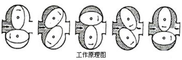 防腐型容積式流量計(jì)工作原理圖