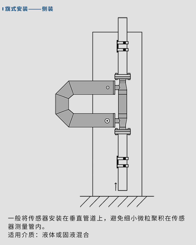 氣體質(zhì)量流量計垂直安裝示意圖